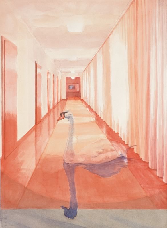 Aquarell: Ein Schwan schwimmt in einem rot getönten Flur mit Türen links und Vorhängen rechts, das Wasser spiegelt ihn auf dem glänzenden Boden.