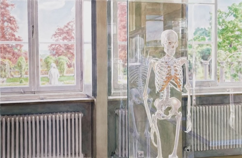 Aquarell: Ein Skelett steht in einer Glasvitrine vor einem Fenster mit Heizkörper, im Glas spiegelt sich ein zweites Skelett, draußen ein Park mit rotem Laub und einer Statue.