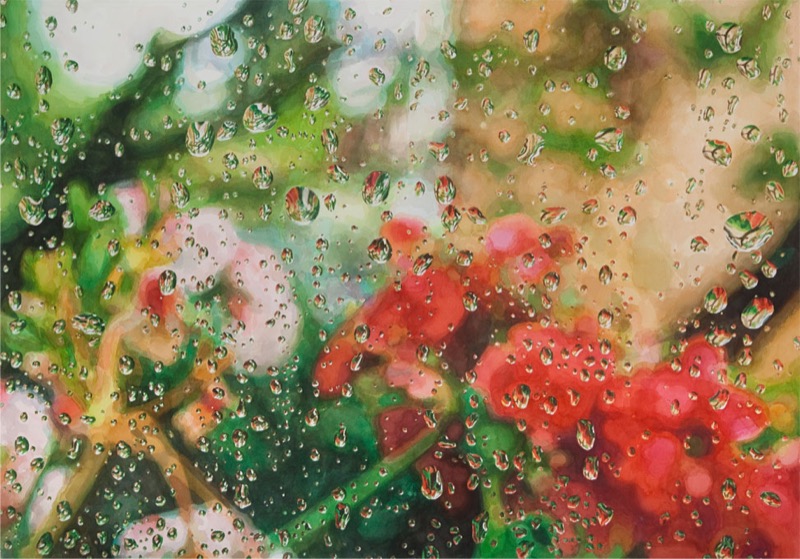 Aquarell: Rote und rosa Geranienblüten und grüne Blätter, durch eine Fensterscheibe voller Regentropfen gesehen.