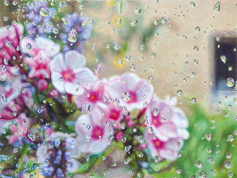 Aquarell: Rosa und weiße Phloxblüten und violette Knospen hinter einer Fensterscheibe voller Regentropfen, rechts ein dunkles Fenster in einer hellen Wand.