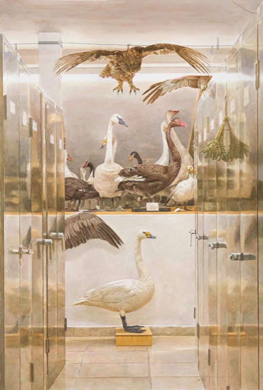 Aquarell: Zwischen zwei verspiegelten Metallschränken stehen ausgestopfte Schwäne und Gänse auf einem Regalbrett, darüber fliegt ein Greifvogel, unten steht ein weißer Schwan auf einem Holzsockel.