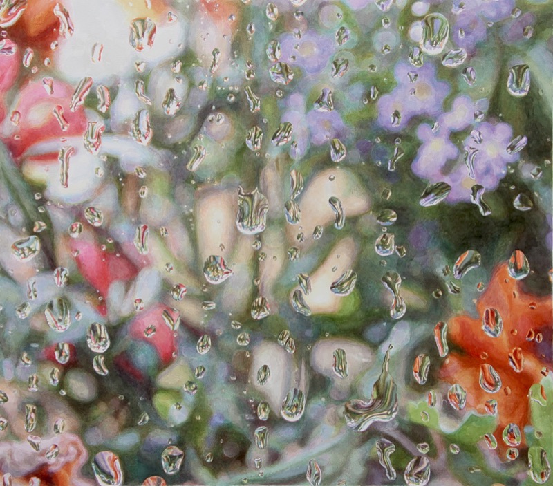 Aquarell: Regentropfen auf einer Fensterscheibe, dahinter unscharf rote und rosa Ranunkeln und violette Blüten.