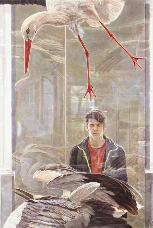 Aquarell: Ein junger Mann in Kapuzenjacke steht hinter einer Glasscheibe, davor und darüber spiegeln sich ausgestopfte Störche, einer mit roten Beinen im Sturzflug.