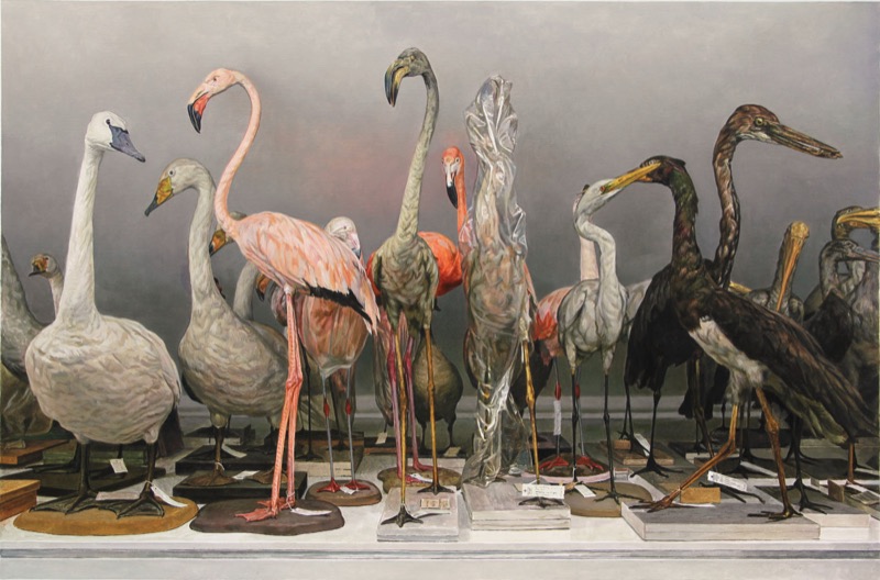 Acrylbild: Viele ausgestopfte Vögel auf einem weißen Regal, darunter Schwäne, rosa Flamingos, ein Reiher und ein in Folie verpackter Vogel, an den Sockeln hängen Etiketten.