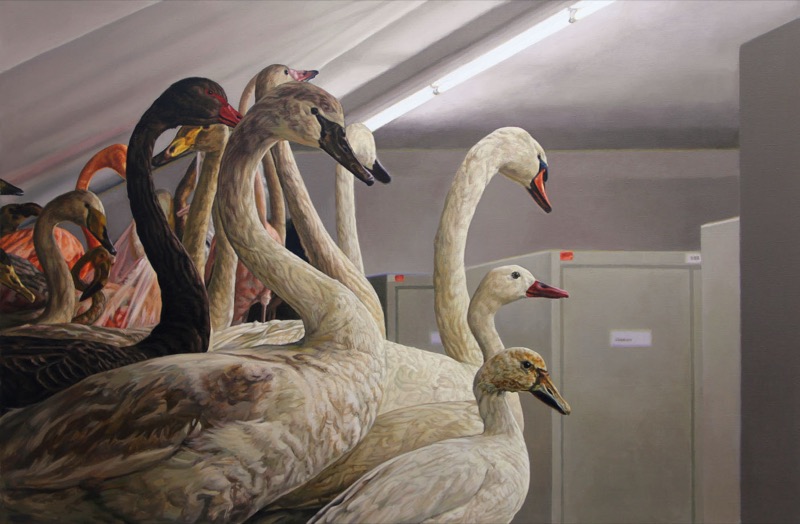 Acrylbild: Ein Gedränge ausgestopfter Schwäne in einem Lagerraum, weiße, graue und ein schwarzer Schwan, dahinter graue Schränke und eine Leuchtstoffröhre.