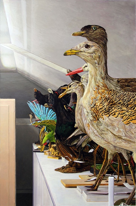 Acrylbild: Reihe ausgestopfter Vögel auf einem weißen Regal, vorn eine Großtrappe mit gemustertem Gefieder, dahinter ein türkisfarbener und ein grüner Vogel.
