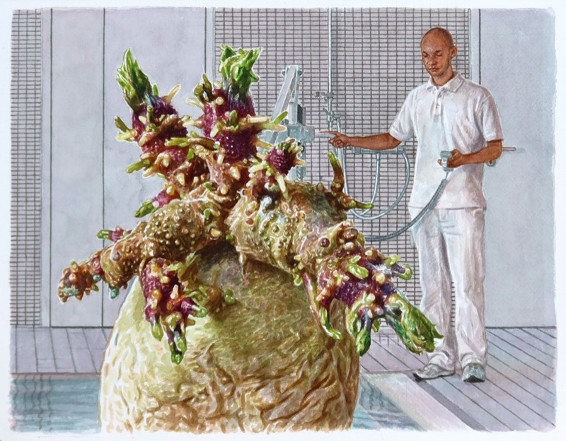 Aquarell: Eine große Kartoffel mit vielen Trieben im Vordergrund, dahinter steht ein Mann in Weiß mit einem Duschkopf in der Hand.