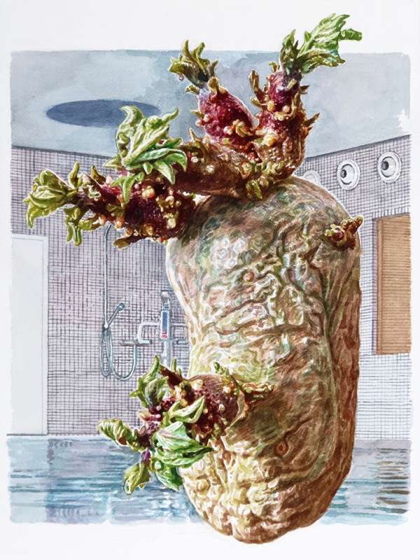 Aquarell: Eine keimende Kartoffel mit grünen Trieben vor einer gekachelten Wand mit Dusche und einer Wasserfläche.