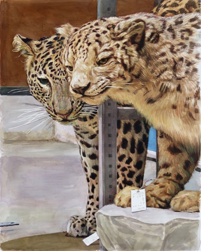 Acrylbild: Zwei Leoparden stehen dicht beieinander neben einem Regalpfosten, an einer Pfote hängt ein kleines Schild.