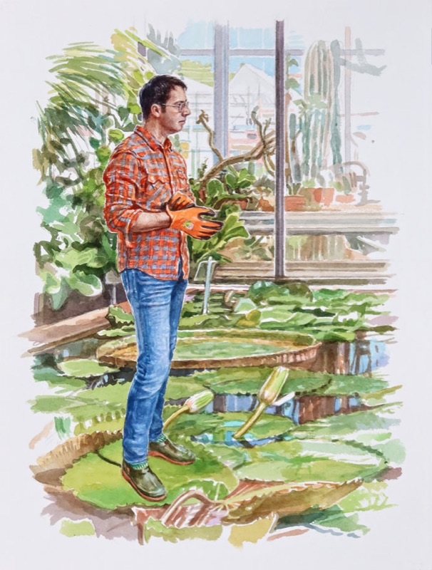 Aquarell: Ein Mann in orangefarbenem Karohemd und Jeans mit Handschuhen steht auf großen Seerosenblättern in einem Gewächshaus.