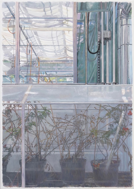 Acrylbild: Tomatenpflanzen in schwarzen Töpfen in einem Gewächshaus, darüber Fenster und Rohre.