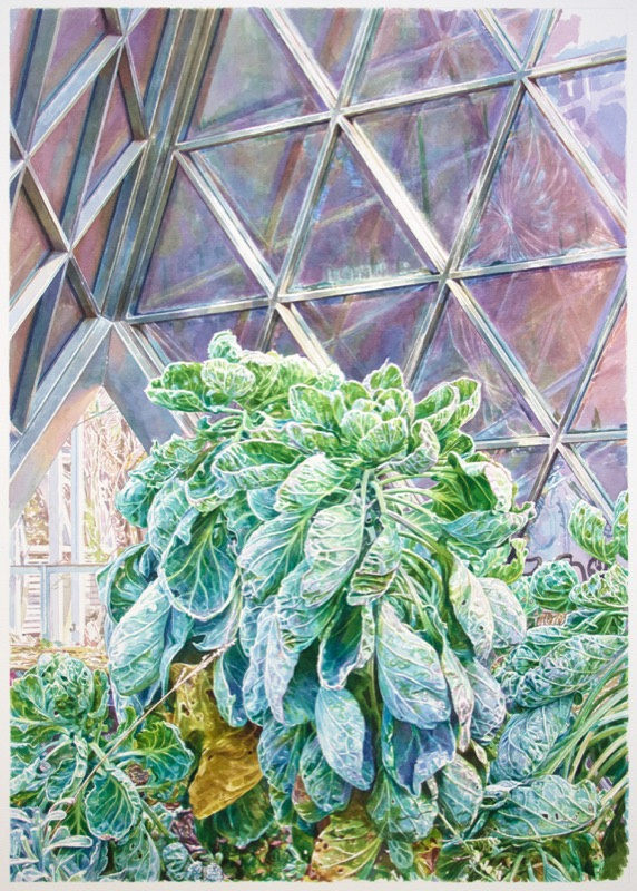 Aquarell: Kohlpflanze mit blaugrünen Blättern vor einer Glaskuppel aus dreieckigen Scheiben.