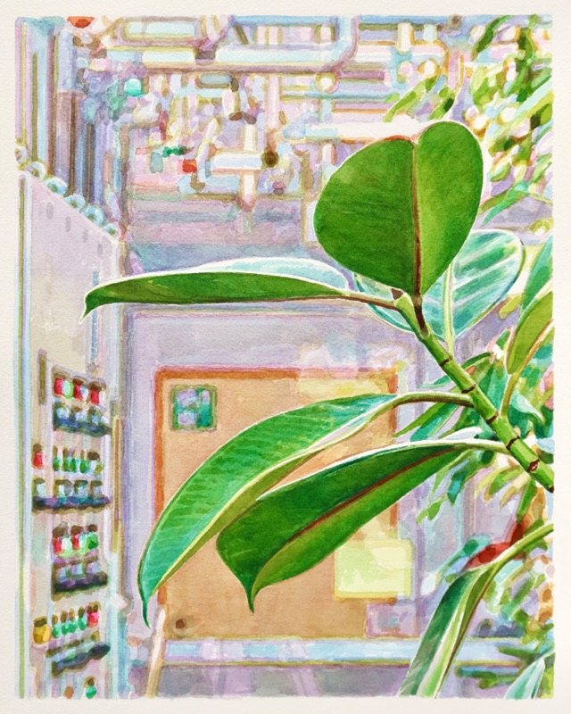 Aquarell: Zweig einer Gummibaumpflanze mit grünen Blättern vor einem Schaltschrank mit Lämpchen und Rohren.