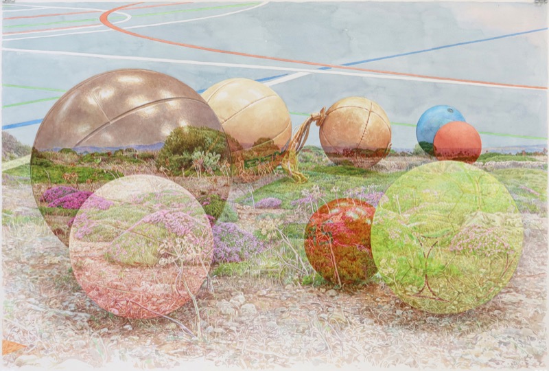 Aquarell: Durchsichtige Kugeln auf einem Sportplatz spiegeln eine blühende Wiese mit rosa Blumen, dahinter verlaufen bunte Spielfeldlinien.