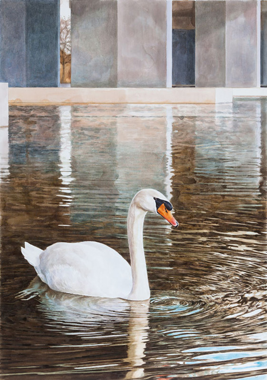 Aquarell: Ein weißer Schwan schwimmt auf braun schimmerndem Wasser vor grauen Betonpfeilern, die sich im Wasser spiegeln.