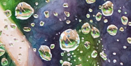 Nahaufnahme aus einem Aquarell: Wassertropfen auf einer Scheibe, in denen sich grüne und violette Farbflächen spiegeln.